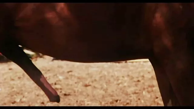 Kiss me,my love 無料 動画 ラブラブ エッチ